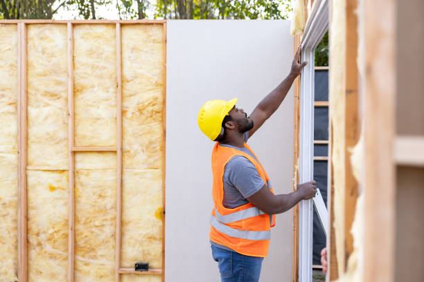 Best Blown-in Insulation  in South Padre Island, TX