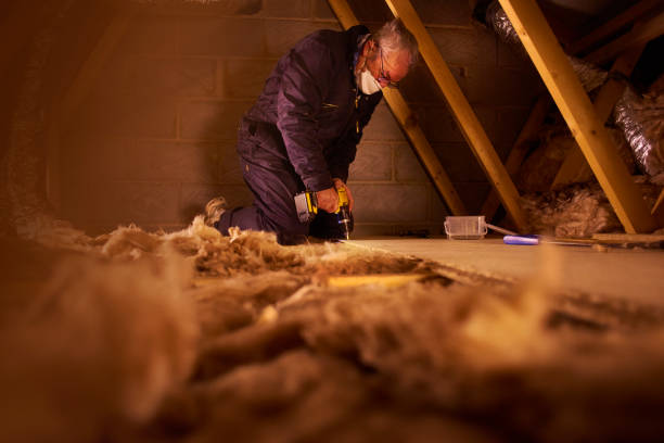Best Insulation Contractors for Homes  in South Padre Island, TX
